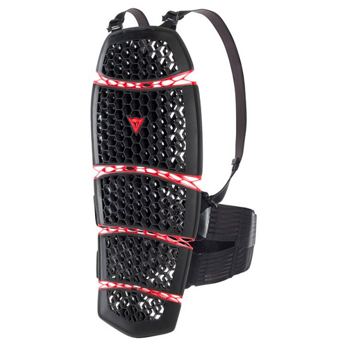 Dainese Pro Armor 2.0 Back Protector