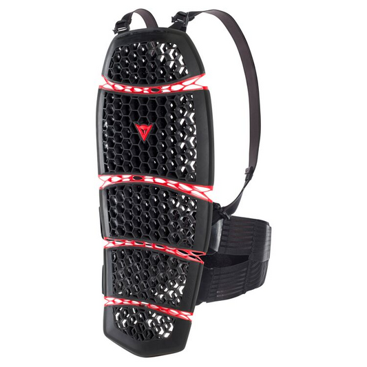 Dainese Pro Armor 2.0 Back Protector